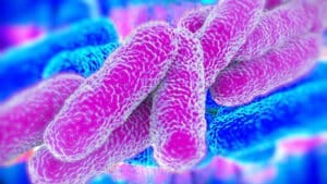 NUEVO REAL DECRETO DE LEGIONELLA 2021